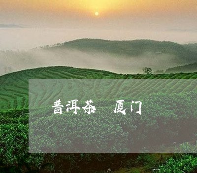 普洱茶 厦门/2023042830360